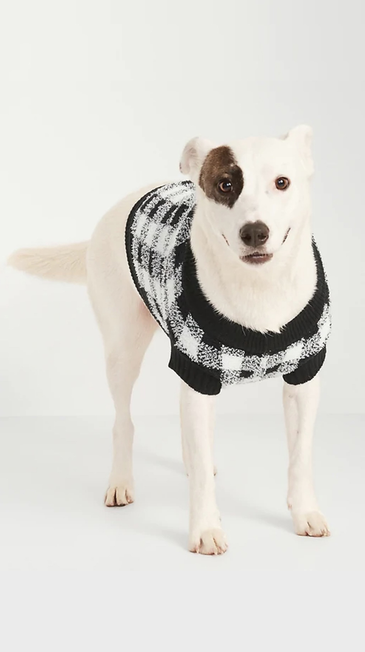 Old Navy’s Cozy Sweater for Pets