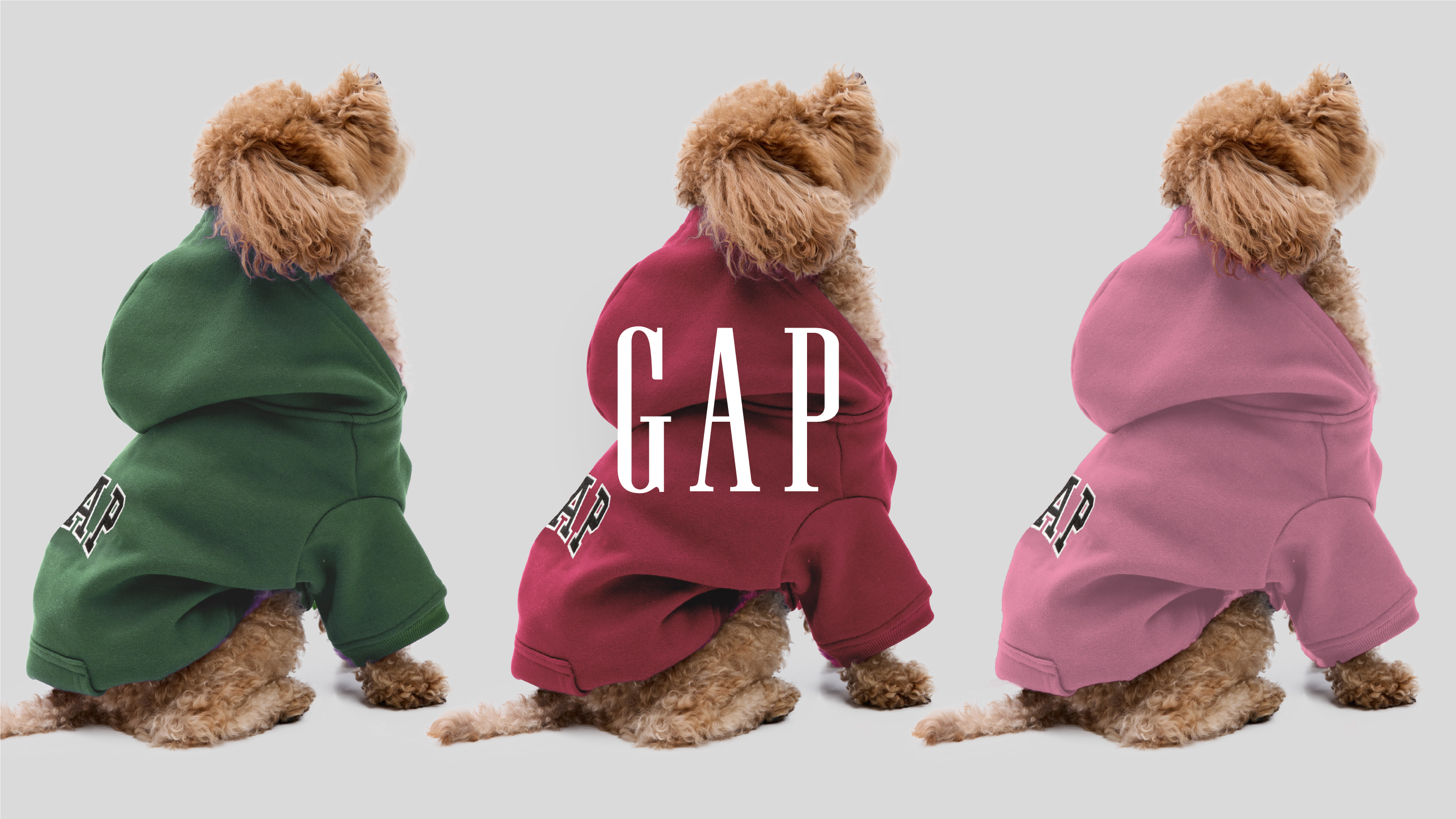 Gap、人気のペットアパレルからGAPロゴフーディーの最新コレクションを 